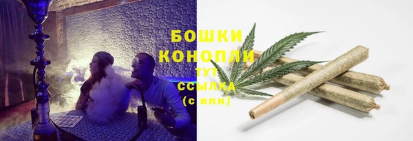 бошки Каменногорск