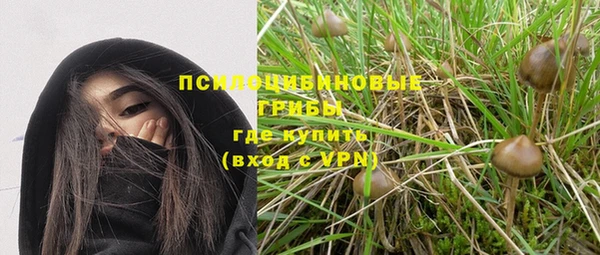 бутират Касимов