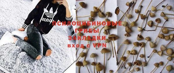 прущие крисы Карпинск