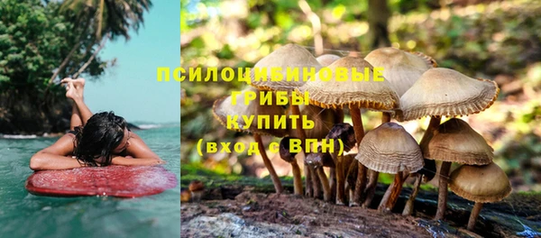 прущие крисы Карпинск