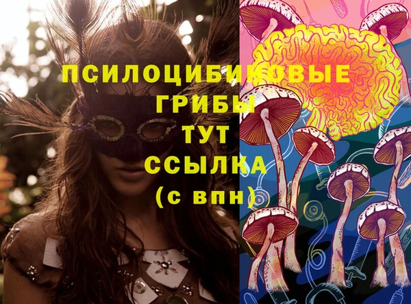 прущие крисы Карпинск
