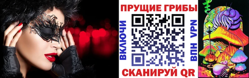 Псилоцибиновые грибы Psilocybe  Карпинск 
