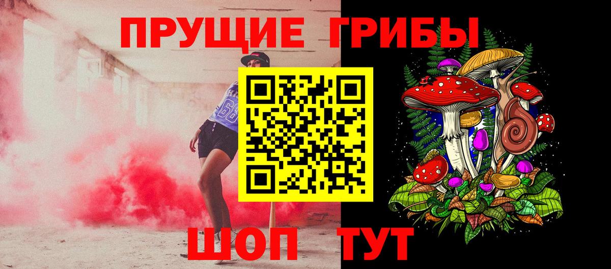 Галлюциногенные грибы Psilocybe Карпинск