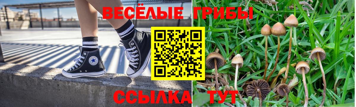 Псилоцибиновые грибы ЛСД  Вход с VPN  Карпинск  Галлюциногенные грибы прущие грибы 